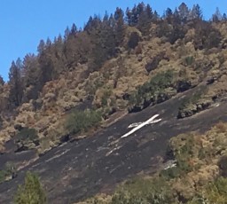 White Cross on scorched earth
