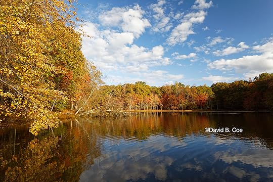 Foliage Reflections, Lake Dimmick (Wide Angle), by David B. Coe