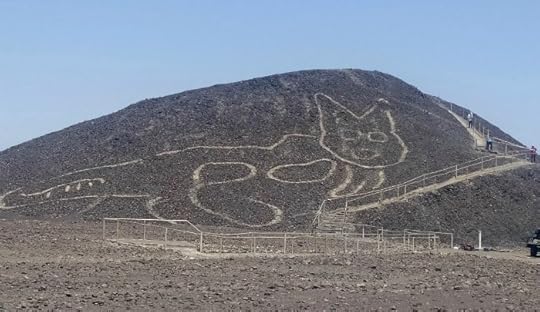 huge-cat-peru-desert