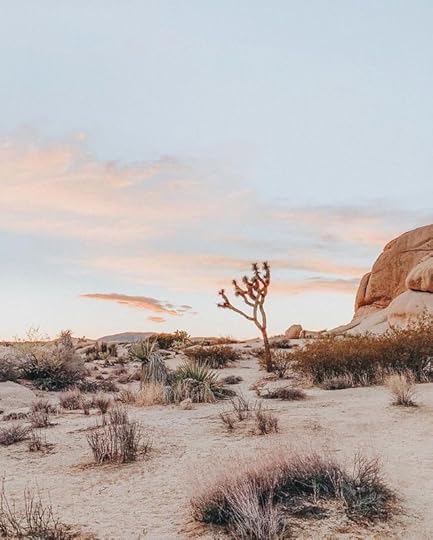 e5a15359b5412c6230ec564031740d37