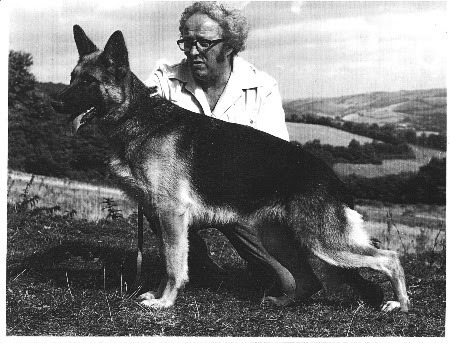 93ac7d454b15519effff8014ffffffd3