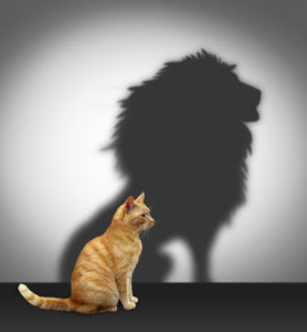 courage is the most important of all virtues