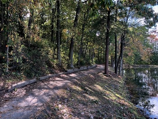 unexpected - Pathwalking 461