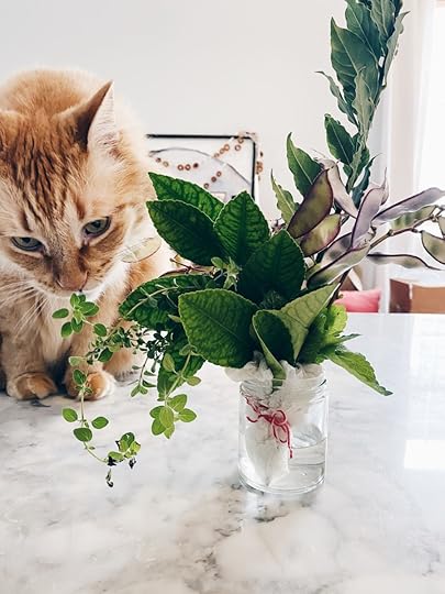 Let It Be Sunday, 295!