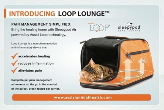 Assisi-Loop-Lounge