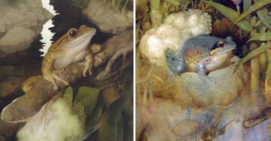 Frog Song by Gennady Spirin