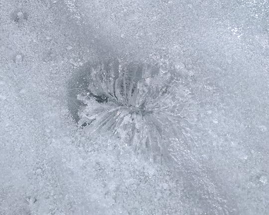The whole slope was dotted with these spots of clearer ice, many with a chrysanthemum-like crystal structure. What was going on here? What were these things?