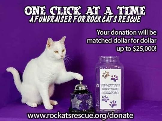 amazing-acro-cats-rock-cats-rescue