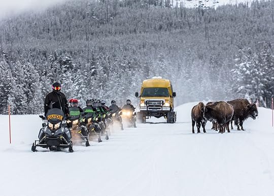 Snowmobiling Yellowstone Country Montana: Everything you need to know