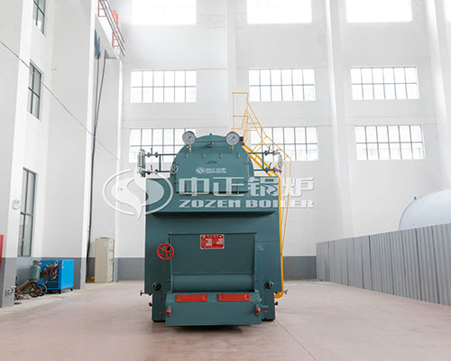 Coal fired steam boiler supply