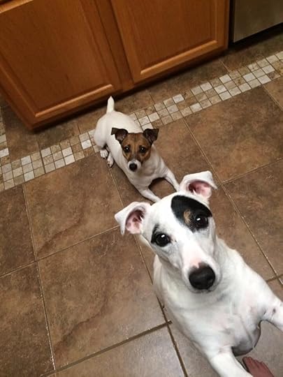 Disney and Riley.jpg