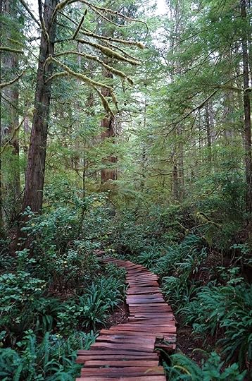 Meares Island