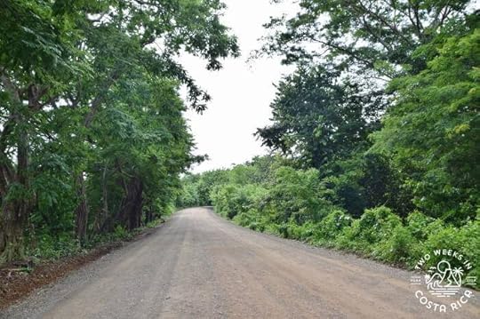 Road to Playa Avellanas