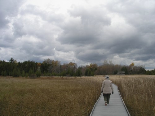 This image has an empty alt attribute; its file name is pa290232.jpg