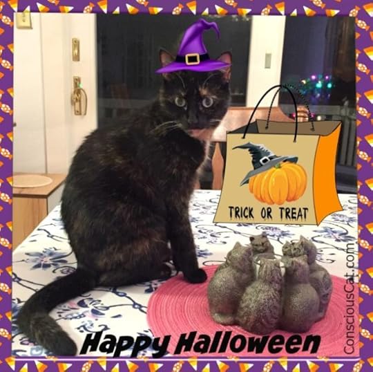 halloween-cat