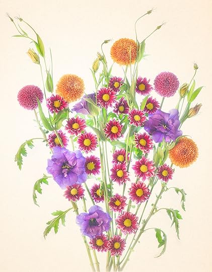 Autumn Bouquet on Scanned Paper © Harold Davis