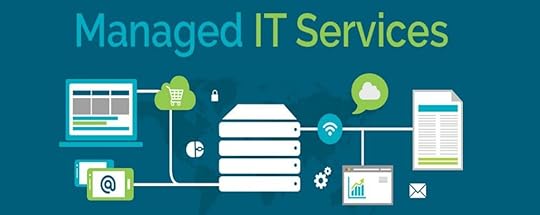 What is an MSP and what they do
