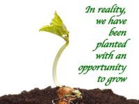 Finding Happiness During Uncertain Times