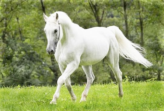 Dream World Symbolism: A White Horse and a Bratty Child as My Ego – Awaken from the Dream