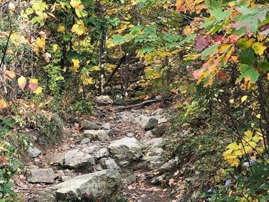 one day at a time-Pathwalking 463