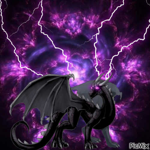 Dragon Violet & Noir - PicMix