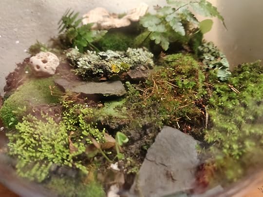 IMG_20201106_203859[15739]