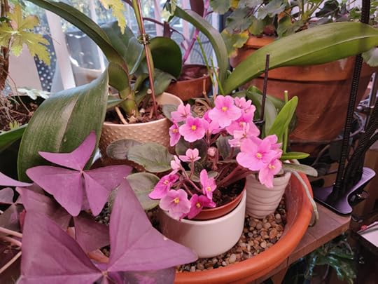 IMG_20201107_095733[15741]