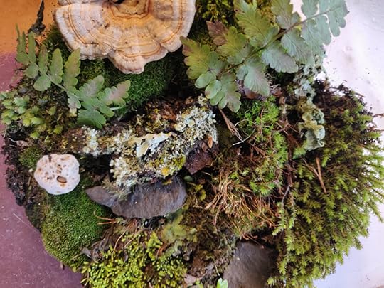 IMG_20201107_103644[15740]