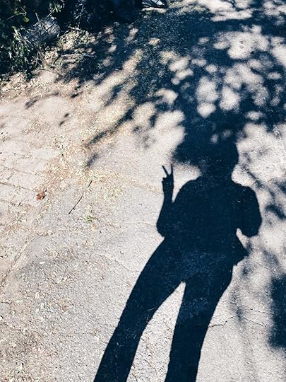 Let It Be Sunday, 297!