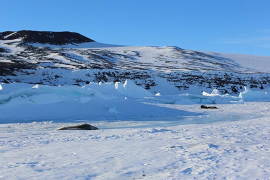 When historical parties were camped at Hut Point, they used to come down here to hunt seals. It was nice to see them still sunbathing here