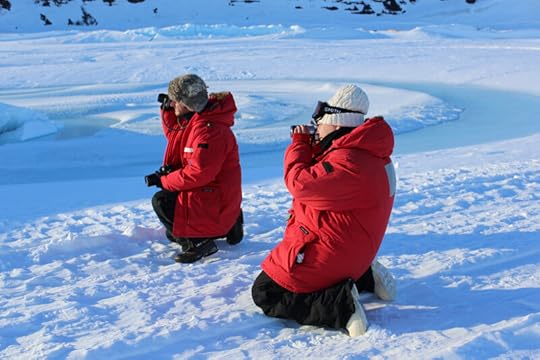 With the bright red parkas and the deep blue shadows, the other mammals in the area were pretty photogenic too.