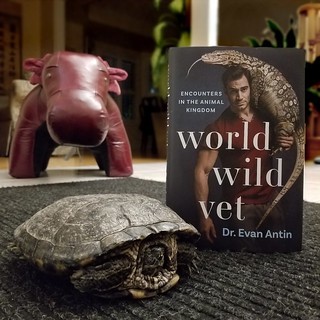 20201103_185359 (1) (1)