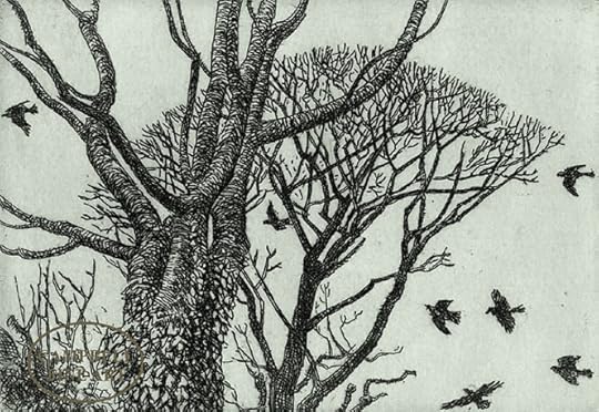 Rookery by Eleanor Huges