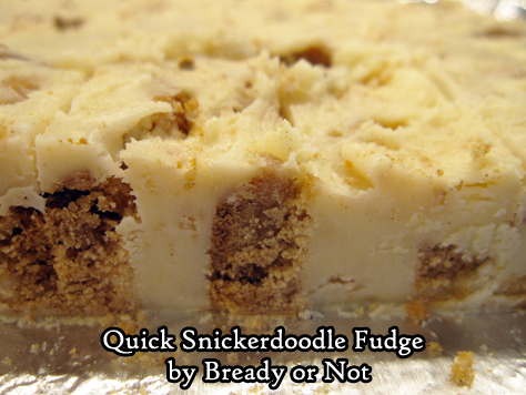 Bready or Not Original: Snickerdoodle Quick Fudge