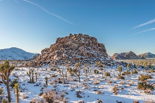 Joshua Tree National Park