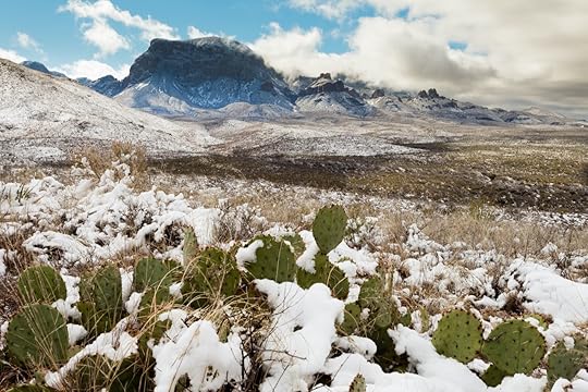 Chihuahuan desert snow
