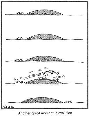 The PreHistory Of The Far Side A 10th Anniversary Exhibit By Gary 