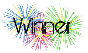 winner fireworks