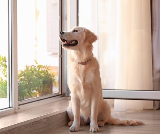 Open your windows during holiday celebrations