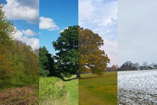 Your Habits Should Change with Seasons