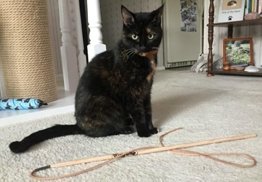 kittywhip-cat-toy