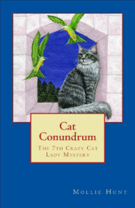 Crazy Cat Lady Cozy