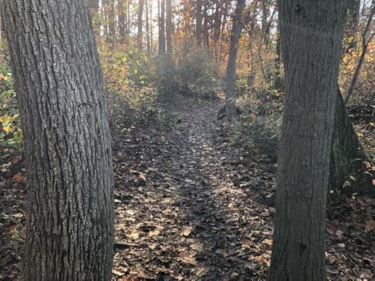 change of perspective<br />