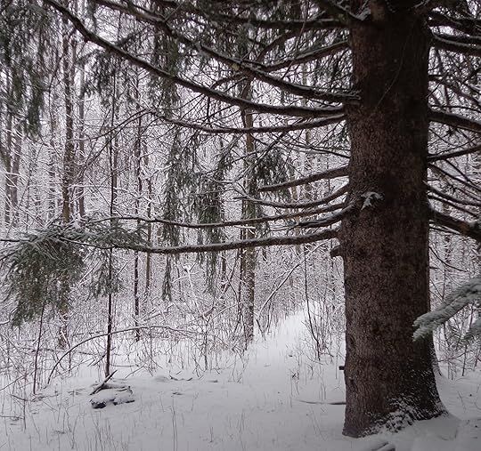 winter peace