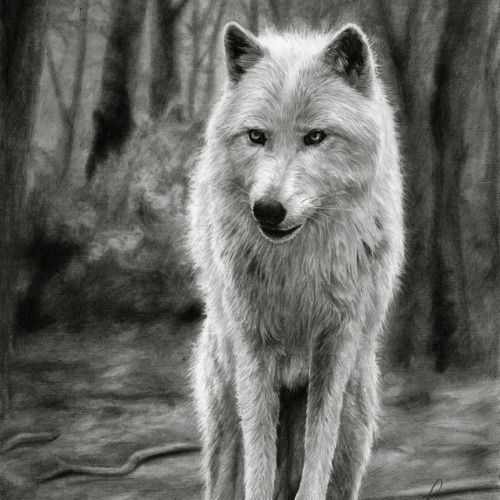 Pin en Hyper-realistic Pencil Drawings
