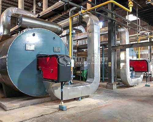 Oil fired organic heat carrier boiler
