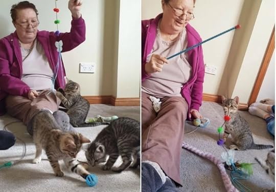 kittens-visiting-terminally-ill-woman