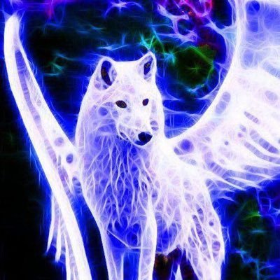 Spirit Wolf🌕🌔🌓🌒🌑🌘🌗🌖🌕 (@SpiritWolfAbove) | Twitter
