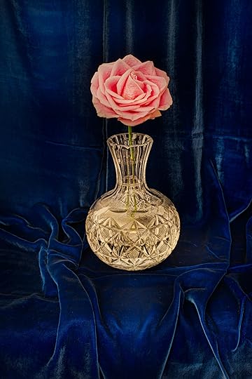 Rose on Blue Velvet © Harold Davis