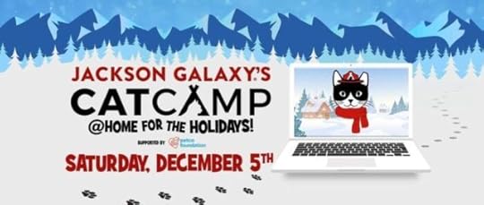cat-camp-home-for-the-holidays